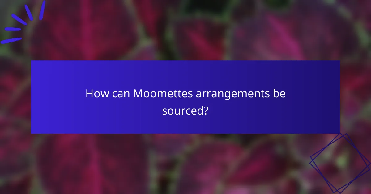 How can Moomettes arrangements be sourced?