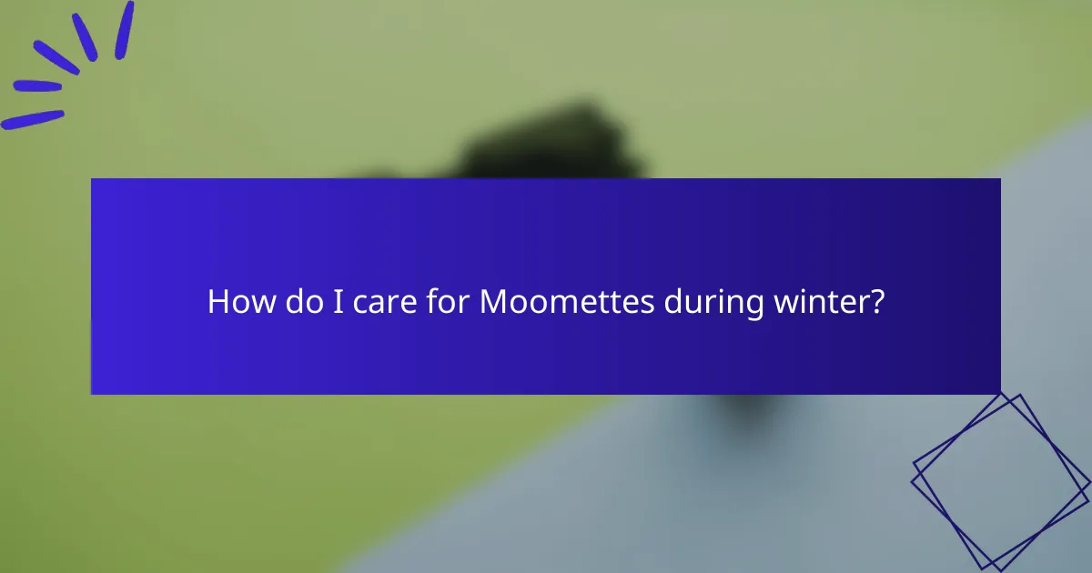 How do I care for Moomettes during winter?
