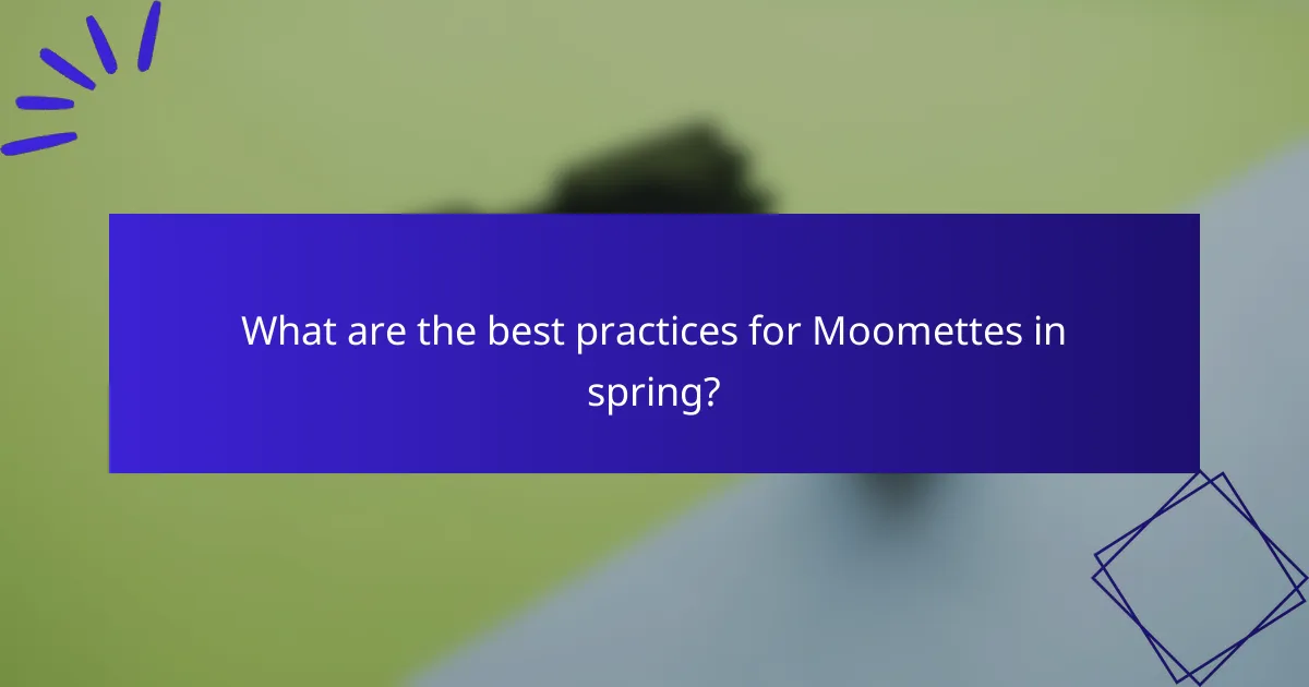What are the best practices for Moomettes in spring?