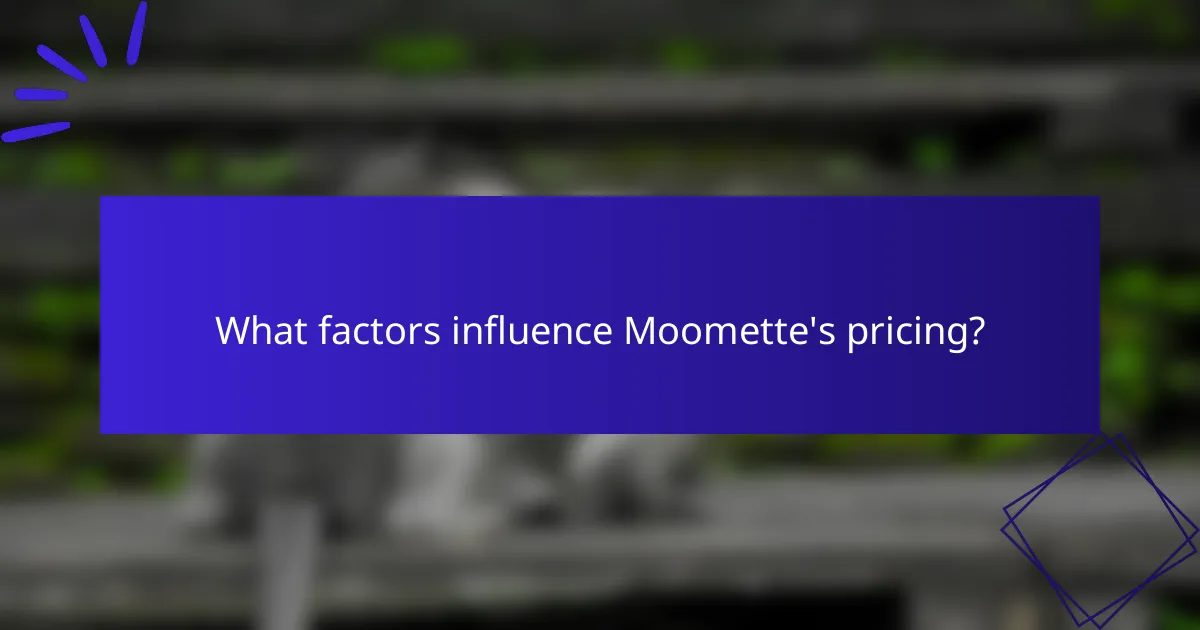 What factors influence Moomette's pricing?
