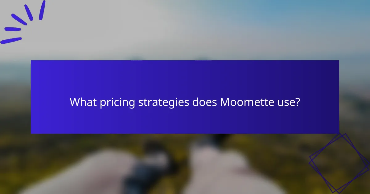 What pricing strategies does Moomette use?